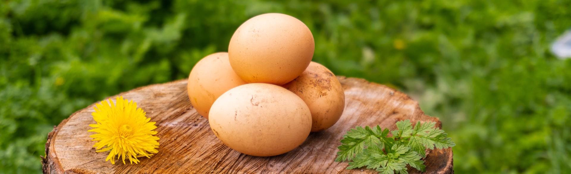 Fresh Eggs 